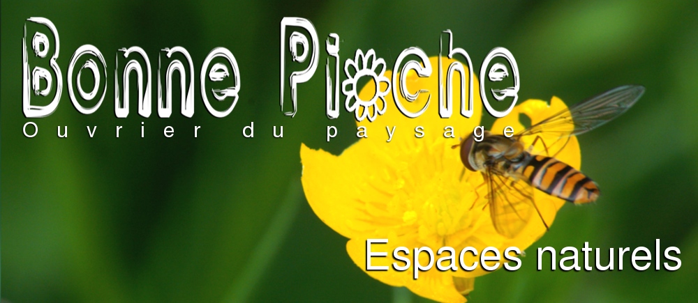 Bonne Pioche