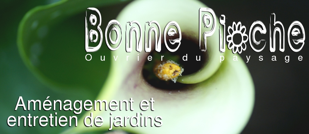 Bonne Pioche